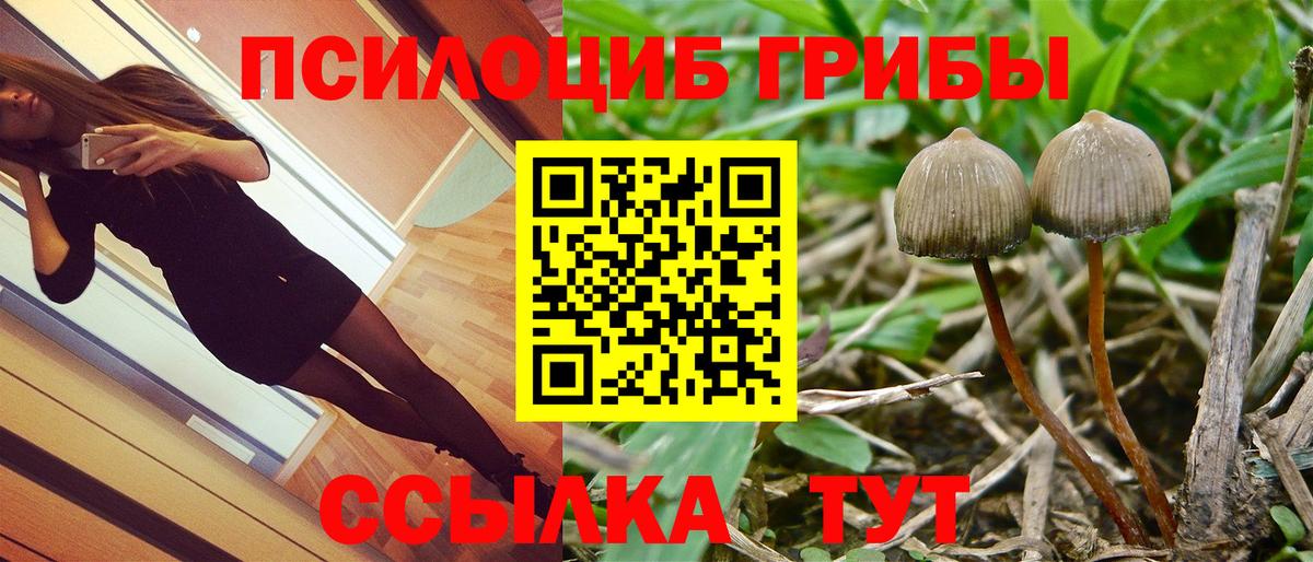 Псилоцибиновые грибы мицелий Каменка