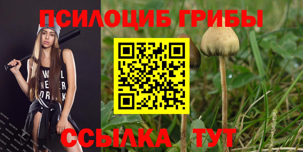 Псилоцибиновые грибы Cubensis  где купить   Вход с VPN  Каменка  Галлюциногенные грибы Psilocybine cubensis 